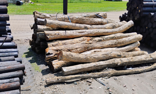 Stacked lumber